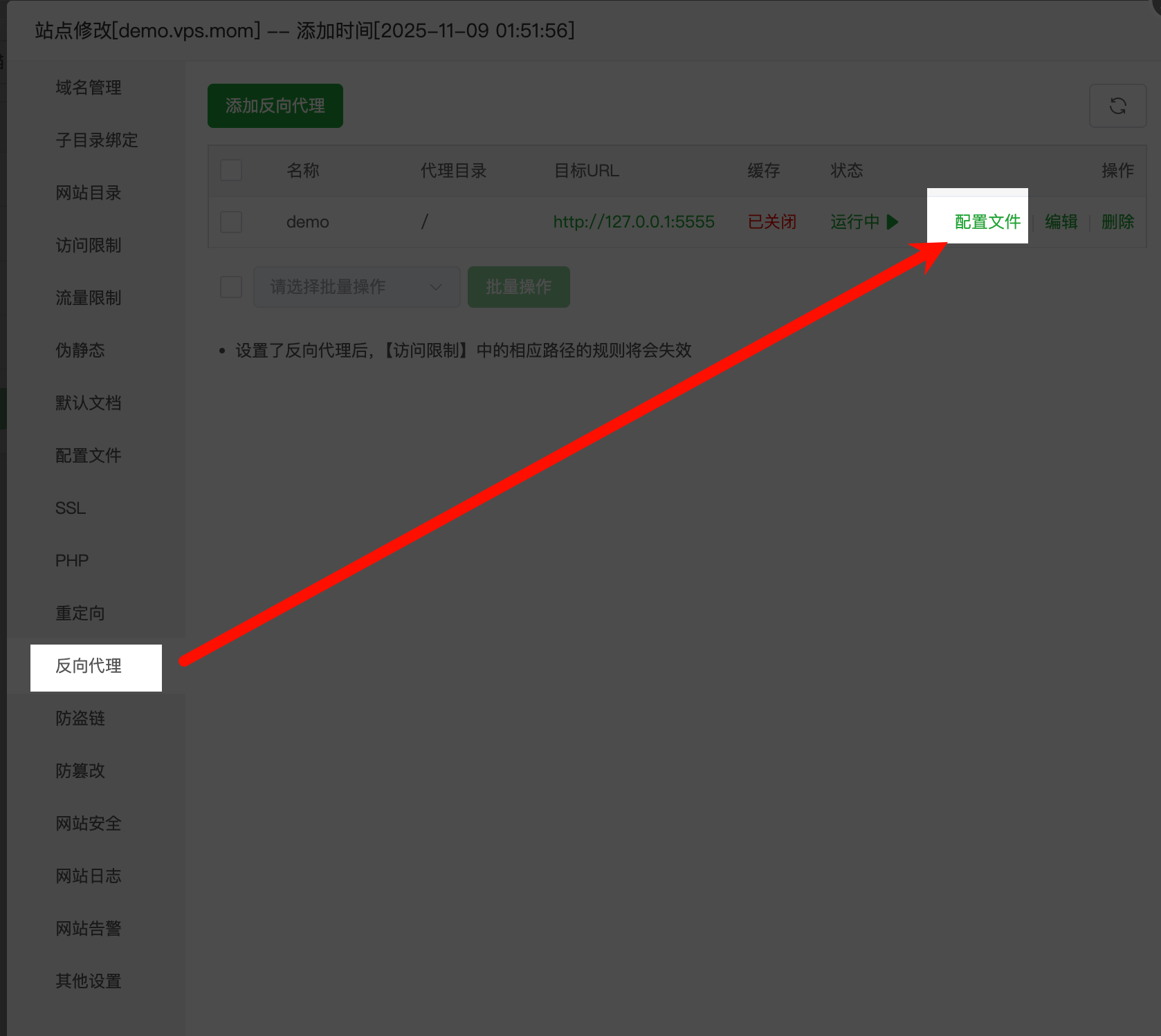 宝塔反向代理入口(点击配置文件)